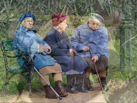 Three friends on a park bench
